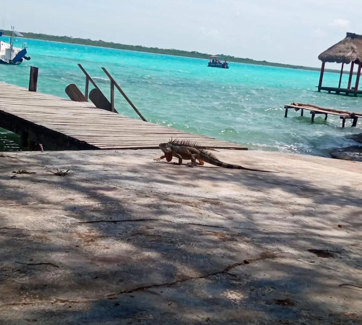 Casa Piedra De Agua Bacalar Villa