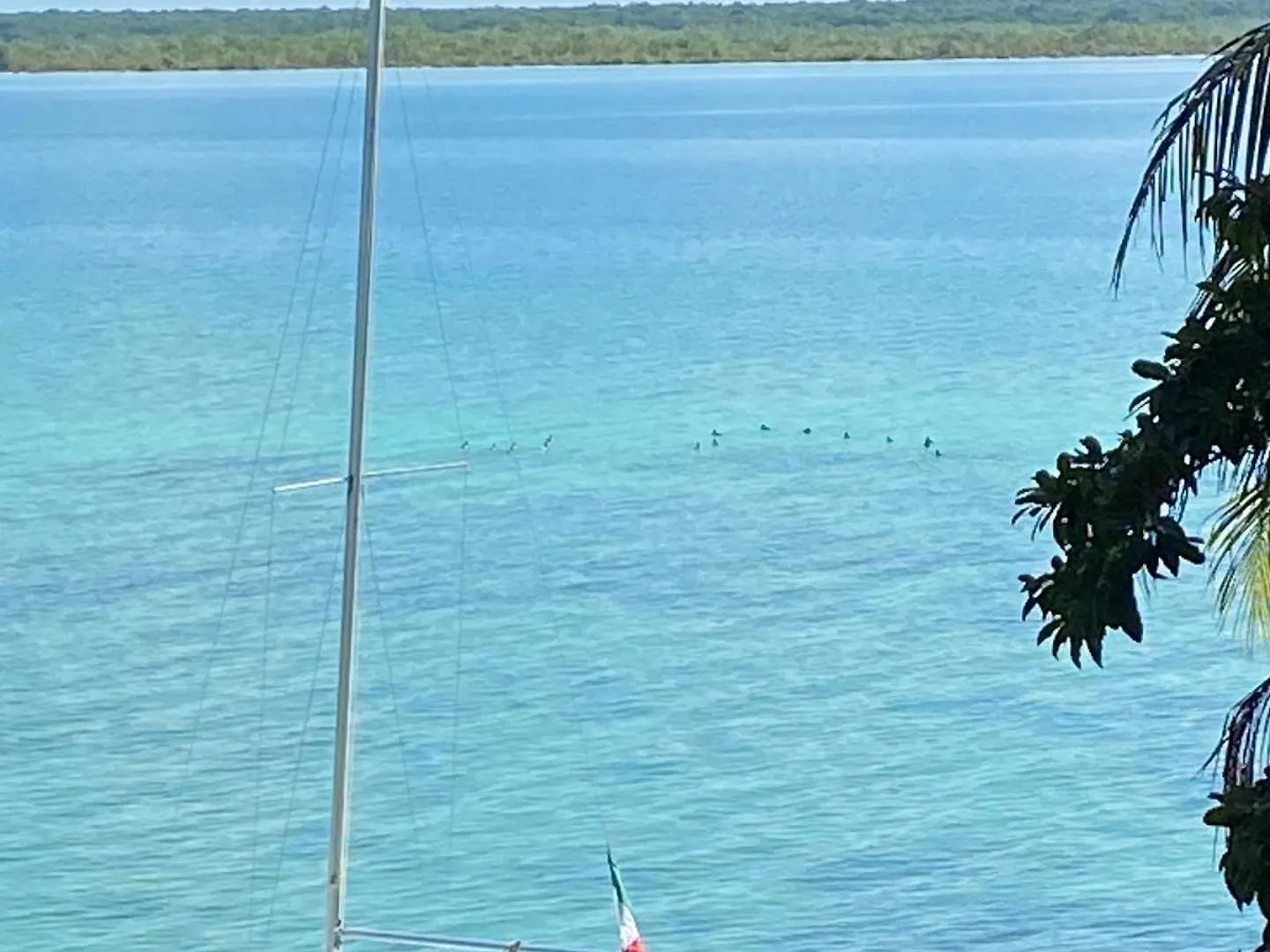 Casa Piedra De Agua Bacalar Villa 0*,